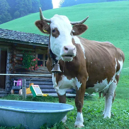 Biobauernhof Windbachgut Eben Im Pongau