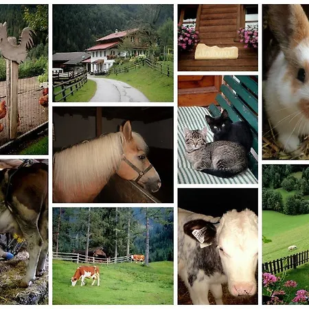 Vakantieboerderij Biobauernhof Windbachgut