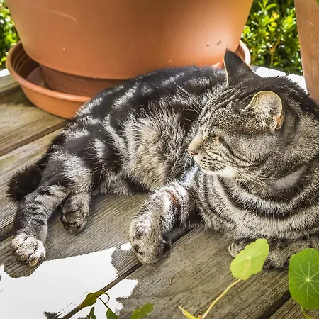 Feriegård Biobauernhof Windbachgut *