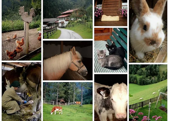 Κατάλυμα σε φάρμα Biobauernhof Windbachgut