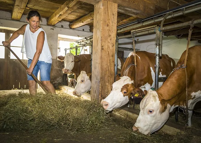 Biobauernhof Windbachgut * Eben Im Pongau