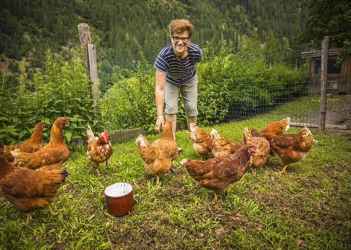 بيوباورنهوف ويندباخغوت *