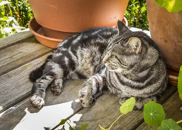 مزرعة للإقامة بيوباورنهوف ويندباخغوت *